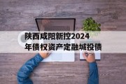 陕西咸阳新控2024年债权资产定融城投债