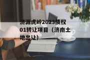 济源虎岭2023债权01转让项目（济南土地出让）