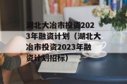 湖北大冶市投资2023年融资计划（湖北大冶市投资2023年融资计划招标）