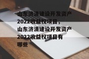 山东济清建设开发资产2022收益权项目，山东济清建设开发资产2022收益权项目有哪些