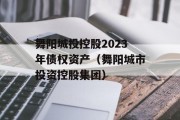 舞阳城投控股2023年债权资产（舞阳城市投资控股集团）