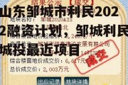 山东邹城市利民2022融资计划，邹城利民城投最近项目