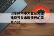 山东威海市文登区交通建设开发市政债权的简单介绍