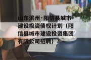 山东滨州·阳信县城市建设投资债权计划（阳信县城市建设投资集团有限公司招聘）