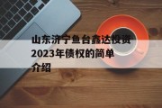 山东济宁鱼台鑫达投资2023年债权的简单介绍