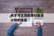 关于河北饶阳债权融资计划的信息