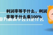 利润率等于什么，利润率等于什么乘100%