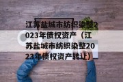 江苏盐城市纺织染整2023年债权资产（江苏盐城市纺织染整2023年债权资产转让）