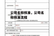 公司名称核准，公司名称核准流程