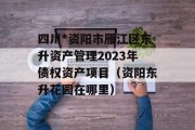 四川*资阳市雁江区东升资产管理2023年债权资产项目（资阳东升花园在哪里）