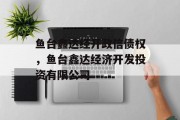 鱼台鑫达经开政信债权，鱼台鑫达经济开发投资有限公司