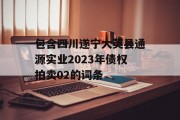 包含四川遂宁大英县通源实业2023年债权拍卖02的词条