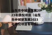 山东市中城建发展2023年债权项目（山东市中城建发展2023年债权项目有哪些）