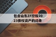 包含山东ZF控股2023债权资产的词条