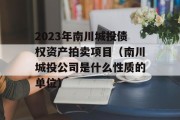 2023年南川城投债权资产拍卖项目（南川城投公司是什么性质的单位）