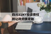 四川XSNY投资债权转让政府债定融