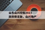 山东山兴控股2023政府债定融，山兴地产