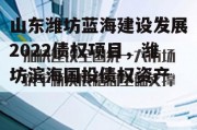 山东潍坊蓝海建设发展2022债权项目，潍坊滨海国投债权资产