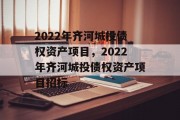 2022年齐河城投债权资产项目，2022年齐河城投债权资产项目招标