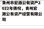 青州市宏源公有资产2022年债权，青州宏源公有资产经营有限公司