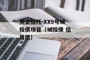 央企信托-XX9号城投债项目（城投债 信用债）