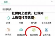 社保网上缴费，社保网上缴费打印凭证
