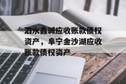 泗水鑫诚应收账款债权资产，阜宁金沙湖应收账款债权资产