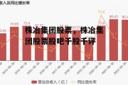 株冶集团股票，株冶集团股票股吧千股千评