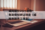 咸阳新控2023应收账款债权转让项目（咸阳市新开工项目）