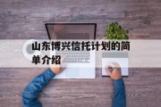 山东博兴信托计划的简单介绍