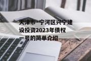 天津市·宁河区兴宁建设投资2023年债权一号的简单介绍