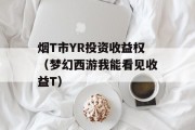 烟T市YR投资收益权（梦幻西游我能看见收益T）