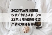 2023年汝阳城建债权资产转让项目（2023年汝阳城建债权资产转让项目有哪些）