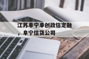 江苏阜宁阜创政信定融，阜宁信贷公司