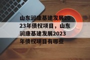 山东润康基建发展2023年债权项目，山东润康基建发展2023年债权项目有哪些