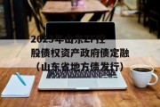 2023年山东ZF控股债权资产政府债定融（山东省地方债发行）