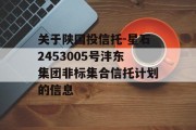 关于陕国投信托-星石2453005号沣东集团非标集合信托计划的信息