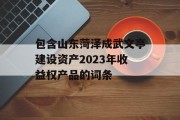 包含山东菏泽成武文亭建设资产2023年收益权产品的词条