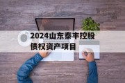 2024山东泰丰控股债权资产项目