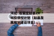 河北·石家庄赵县ZR城投债权计划（赵县发展规划建设项目）