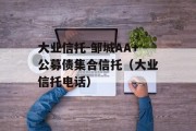 大业信托-邹城AA+公募债集合信托（大业信托电话）