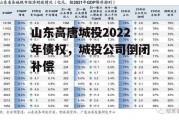 山东高唐城投2022年债权，城投公司倒闭补偿