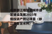 成都都江堰智慧城市运营建设发展2023年债权资产转让项目（都江堰智慧水利）