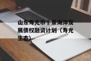 山东寿光市昇景海洋发展债权融资计划（寿光生态）