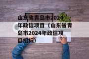 山东省青岛市2024年政信项目（山东省青岛市2024年政信项目招标）