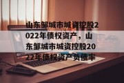 山东邹城市城资控股2022年债权资产，山东邹城市城资控股2022年债权资产负债率