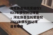 河北协昌信托受益权2023年债权转让项目，河北协昌信托受益权2023年债权转让项目有哪些