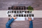 国有公募基金管理人XX1号集合资产管理计划，公开募集基金管理人