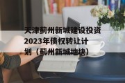 天津蓟州新城建设投资2023年债权转让计划（蓟州新城地块）