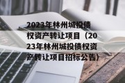 2023年林州城投债权资产转让项目（2023年林州城投债权资产转让项目招标公告）